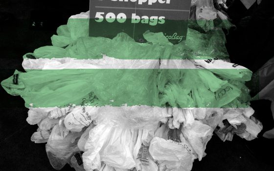 Why the plastic bag charge is working