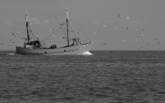 Managing EU fisheries in the public interest