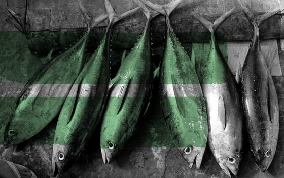 Don’t treat fishing in isolation