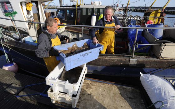 World Fisheries Day: the grim prognosis for fishing post-Brexit