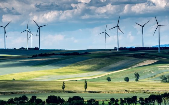 The Green Supporting Factor