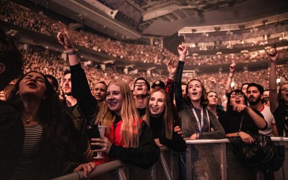 Does new economics need wellbeing?