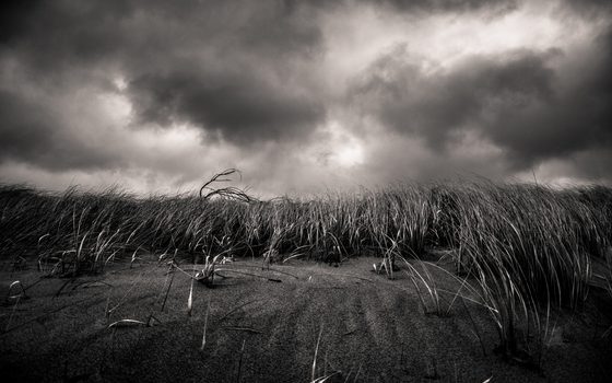 Disrupting the climate
