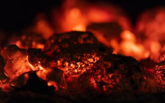 Banking on coal